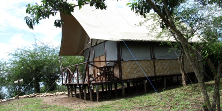Tent-bush