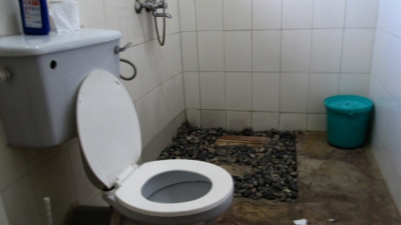 toilet-simba
