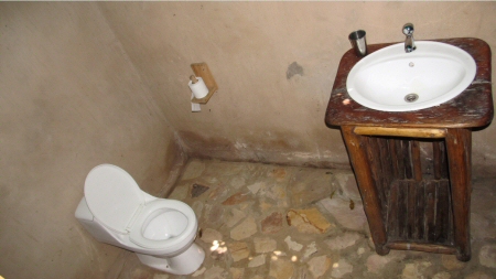 toilet wag